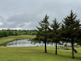 featured image of 13325 Brush Creek Rd