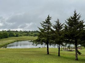 13325 Brush Creek Rd - Photo 1 of 1