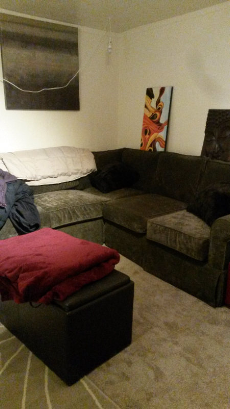 4437 Clipper Ct - Photo 7 of 7