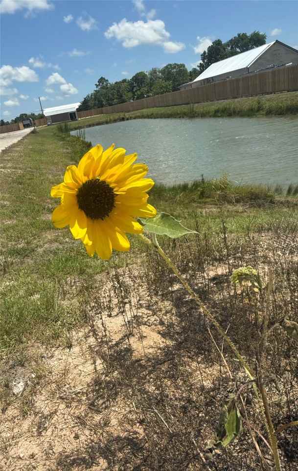 17310 Cowan Rd #17310 - Photo 3 of 6