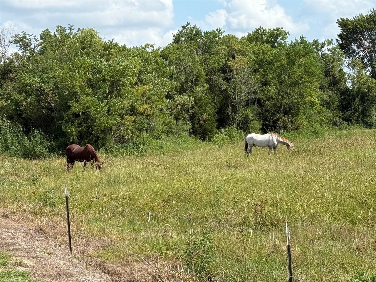 17310 Cowan Rd #17310 - Photo 5 of 6