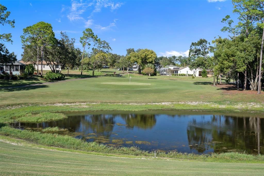 7167 Crown Oaks Drive #7167 - Photo 2 of 36