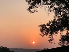 2012 Centerline Lane #2012 - Photo 1 of 1