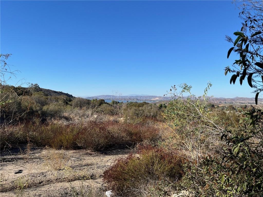 34655 Borchard Rd #34655B - Photo 2 of 12