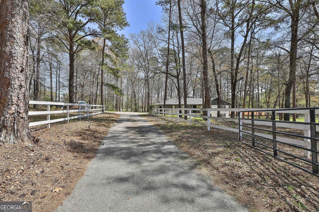 2366 Georgia Highway 92 - Photo 3 of 46