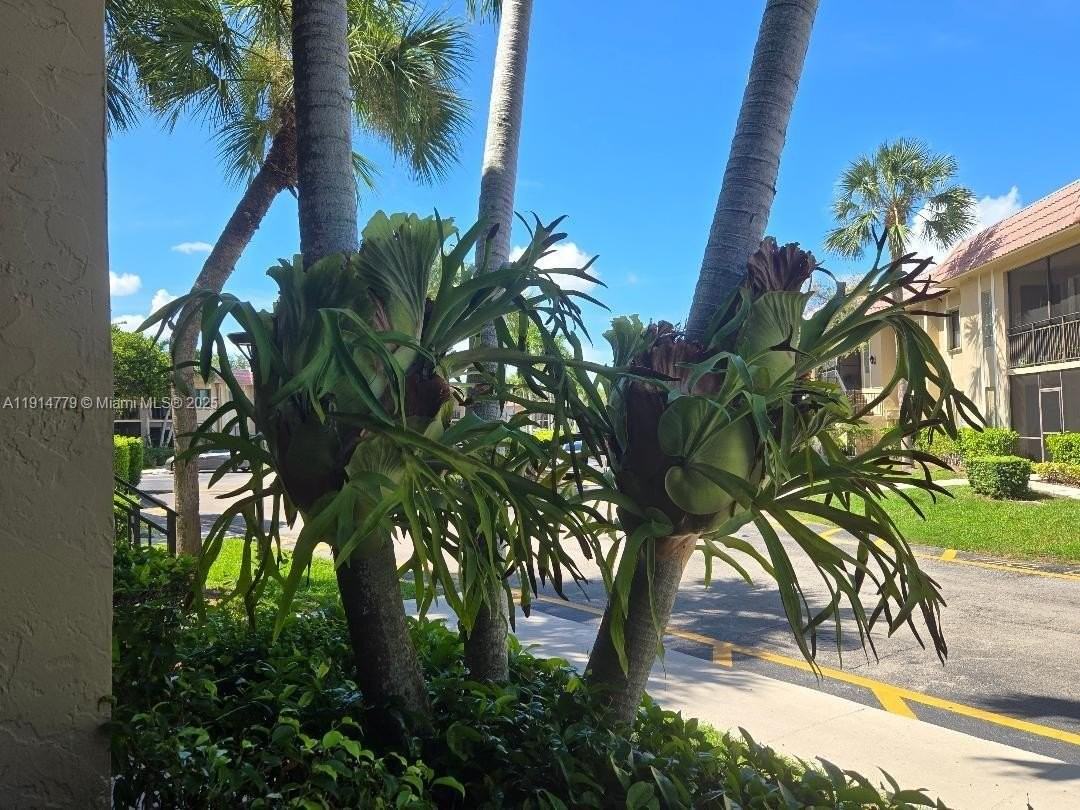 302 Lakeview Dr #102 - Photo 7 of 21