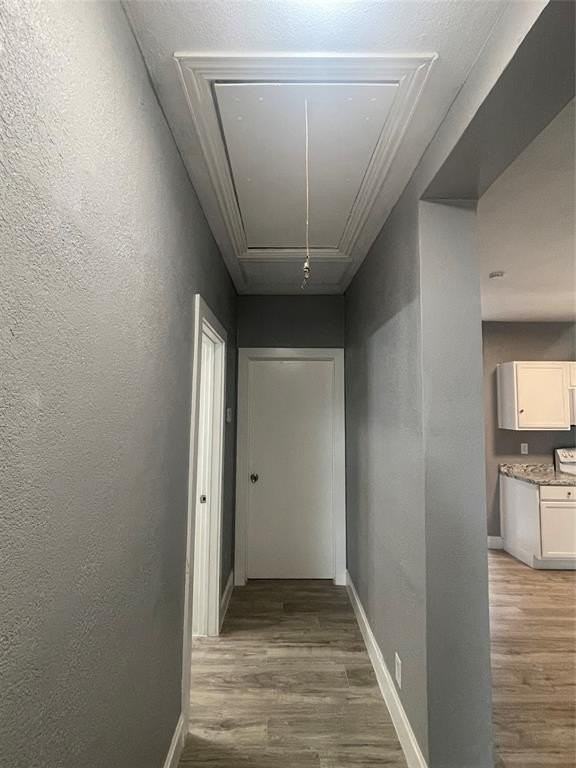 603 Wyatt St - Photo 7 of 15