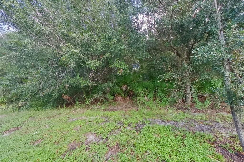 9143 Aegean Circle #9143 - Photo 2 of 23