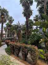 307 North Acacia Avenue #307C - Photo 1 of 1