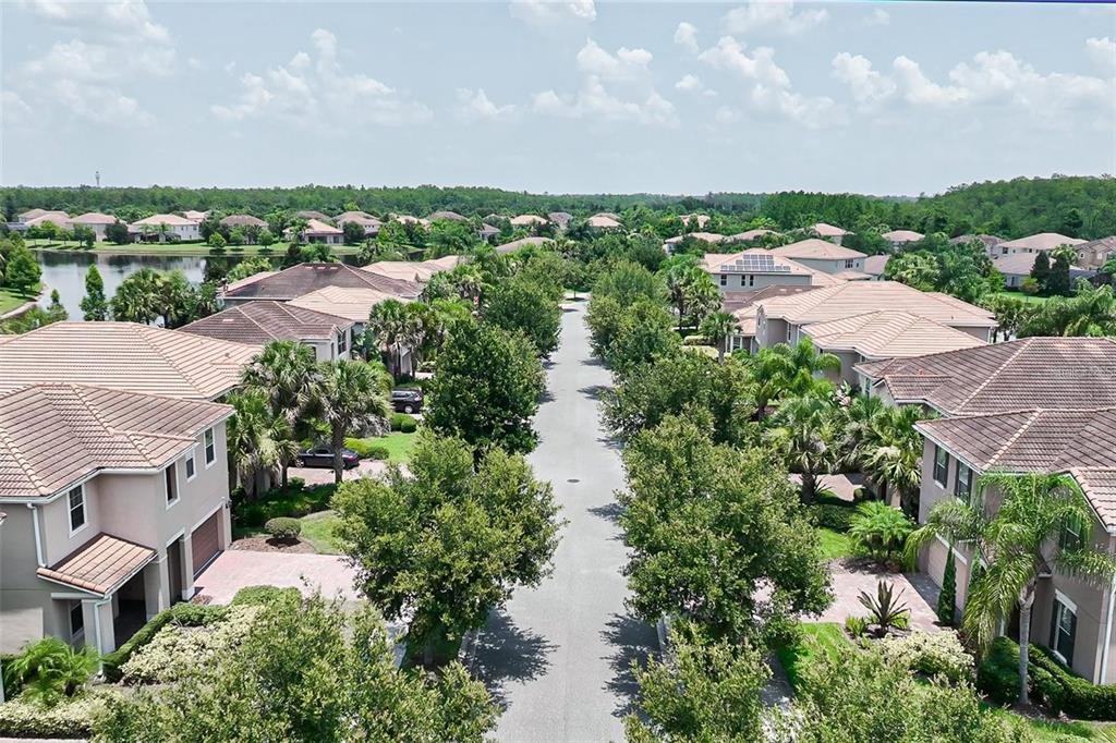 12065 Forsythia Dr #12065 - Photo 6 of 17