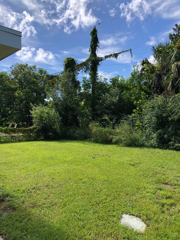 3318 Thomas St - Photo 5 of 9