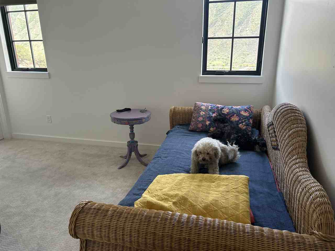 502 Little Cloud Dr #502 - Photo 7 of 13