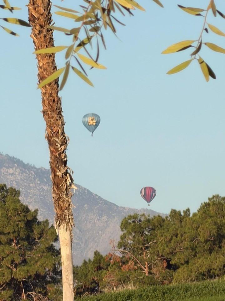 289 Vista Royale Cir W - Photo 2 of 50