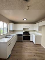 101 Caprice - Photo 1 of 1