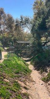 1631 Harbison Canyon Road - Photo 7 of 12