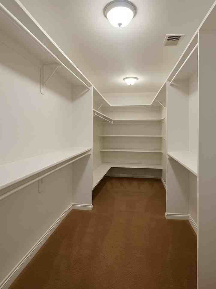 917 Lilly Pad Lane - Photo 7 of 23