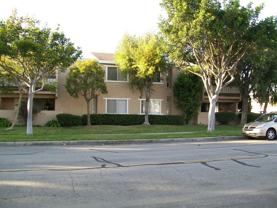 hb519 - Photo 1 of 1