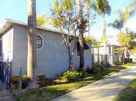 featured image of 555 Walnut Avenue