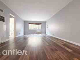 Dickens - Photo 1 of 1