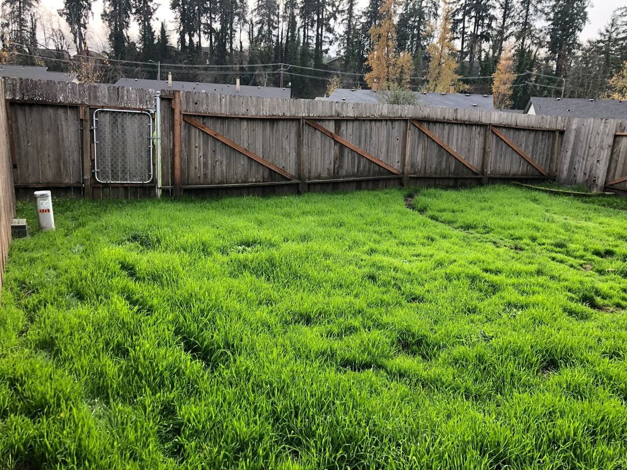 4823 Elderberry Loop - Photo 4 of 29