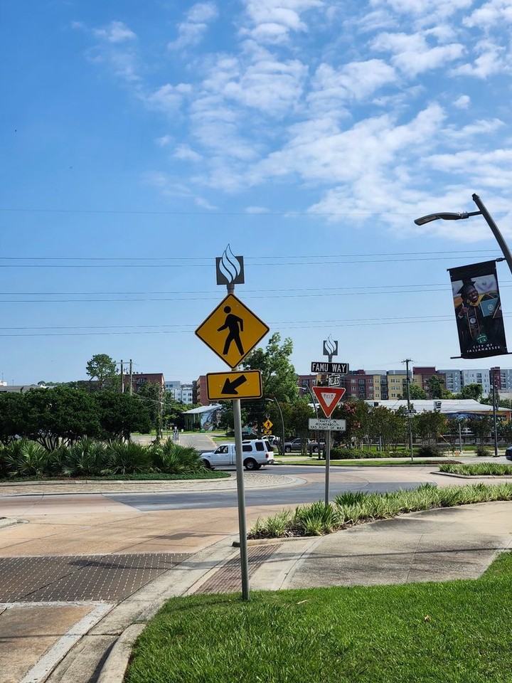 1219 Pinellas Street - Photo 4 of 19