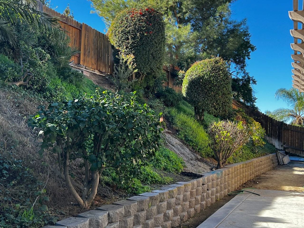 1368 Ransom Road - Photo 6 of 28