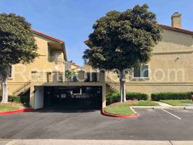 7425 Charmant Drive #2613 - Photo 1 of 1