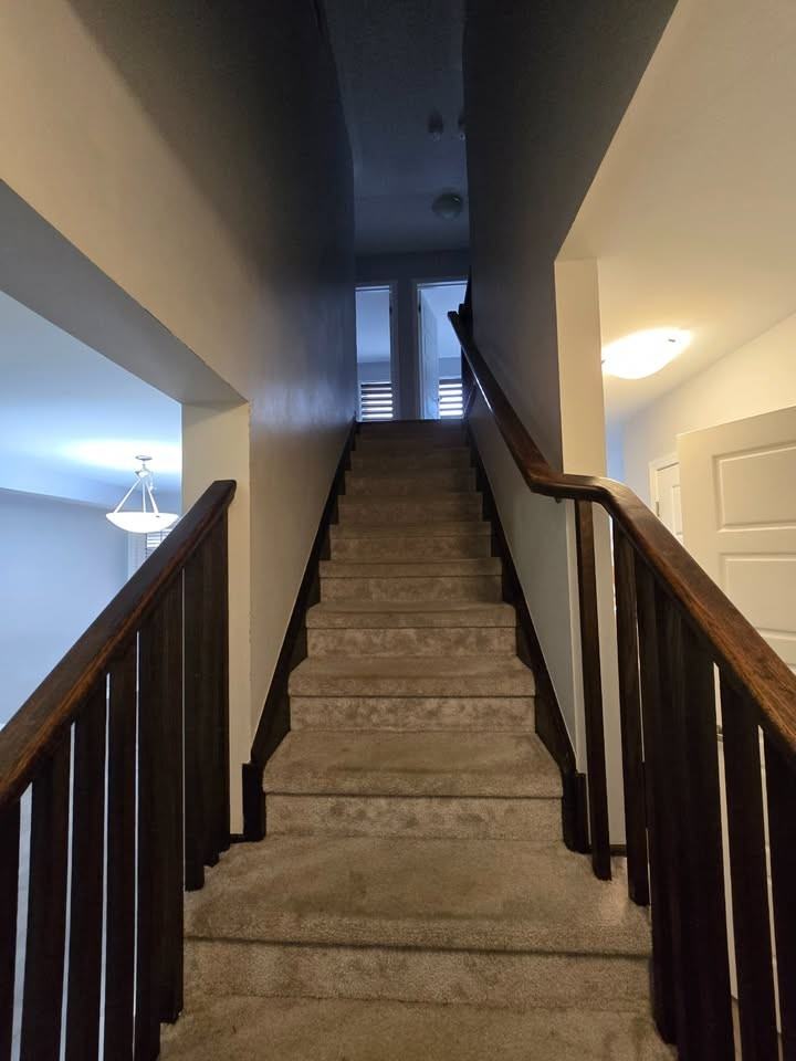 518 Buckeye Court - Photo 3 of 11