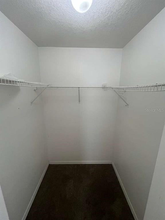 2531 Fan Palm Dr #2531 - Photo 6 of 12