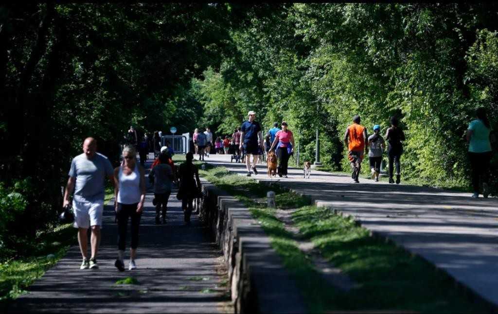 4229 Cole Avenue #4229-112 - Photo 7 of 22