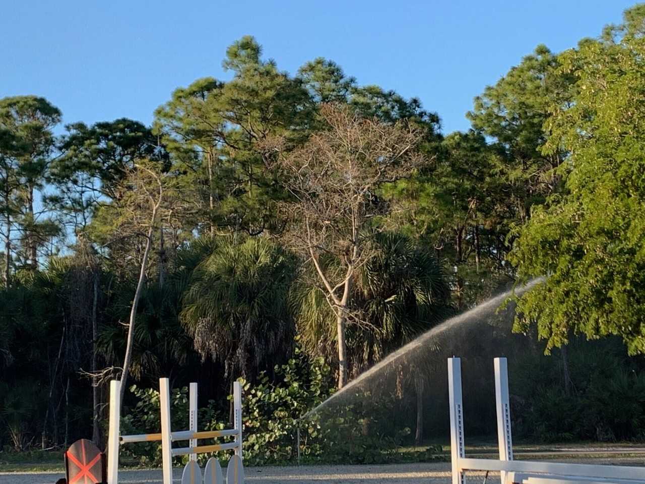 1711 Stallion Dr #1711 - Photo 6 of 23