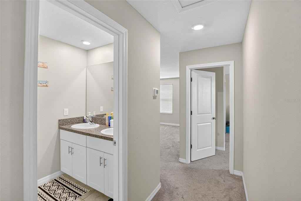 31783 Sun Kettle Loop #31783