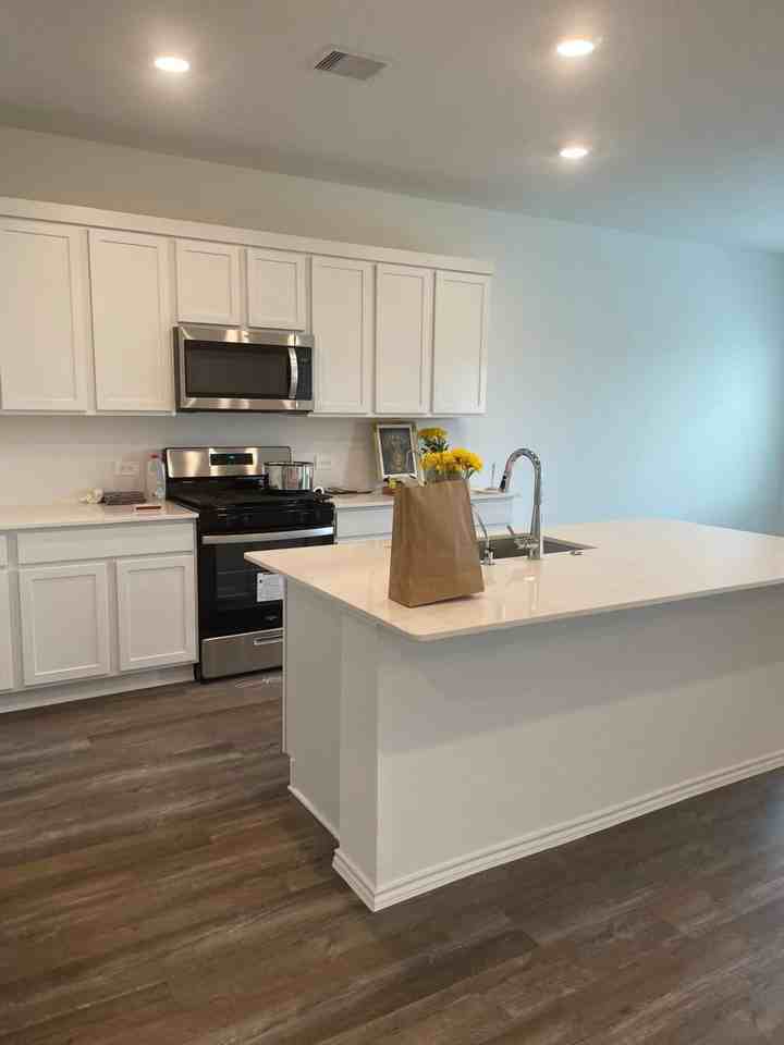 27314 Azure Falls Drive #27314 - Photo 6 of 18