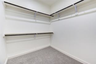 2919 El Fenice Ln #2919 - Photo 1 of 1