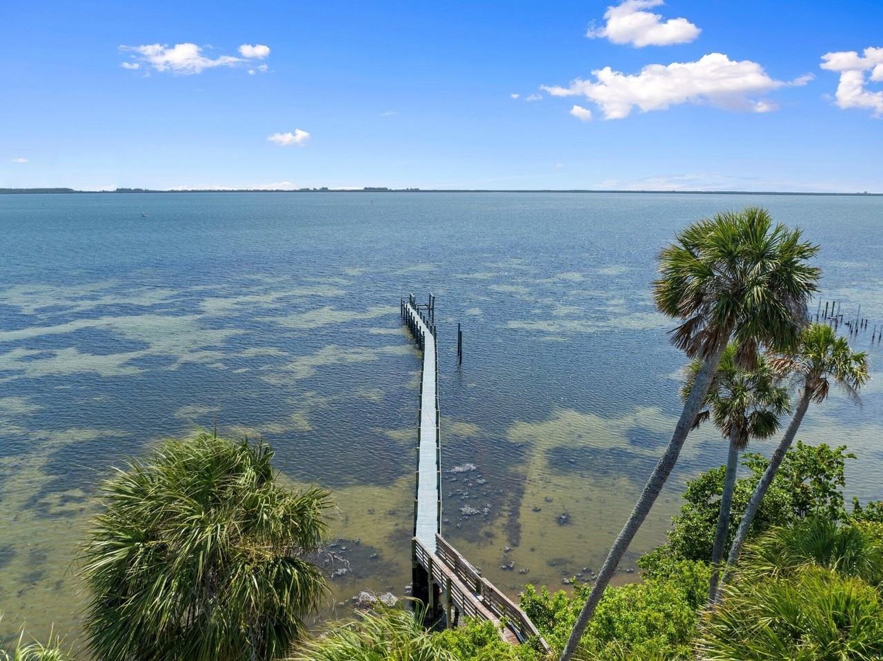 5203 S Indian River Dr - Photo 7 of 50