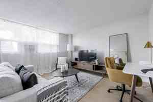 featured image of 65 Dynevor Road