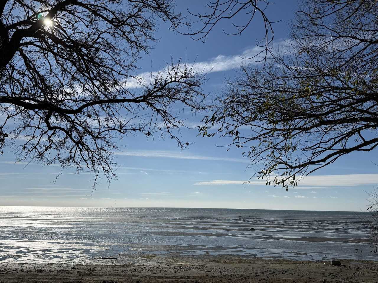 4364 Avenue F - Photo 3 of 20