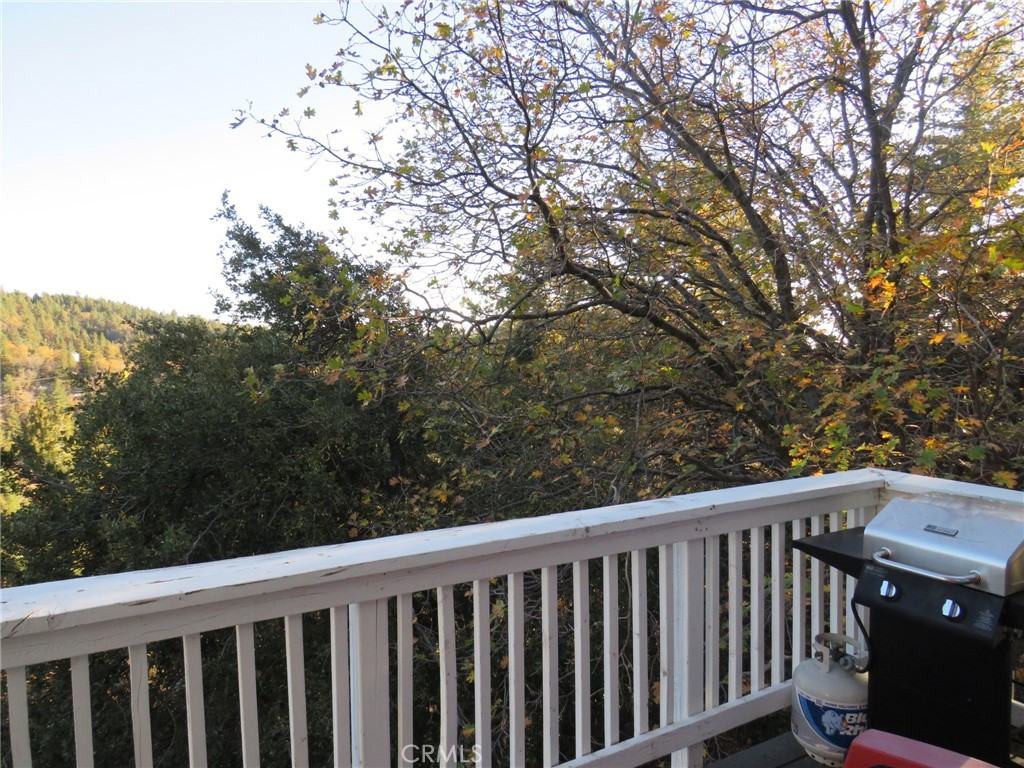 32415 Scandia Dr #32415 - Photo 5 of 31