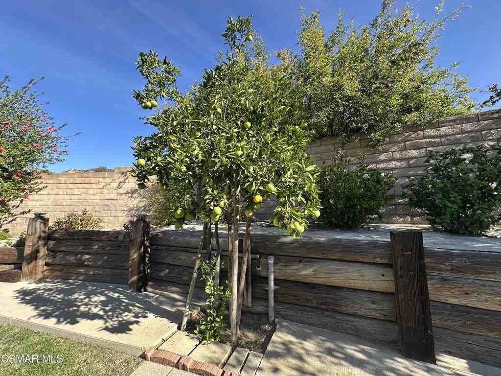 6495 Hope Street #6495 - Photo 3 of 33