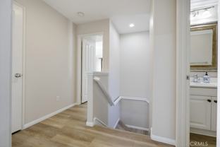 49 Night Bloom #49 - Photo 1 of 1