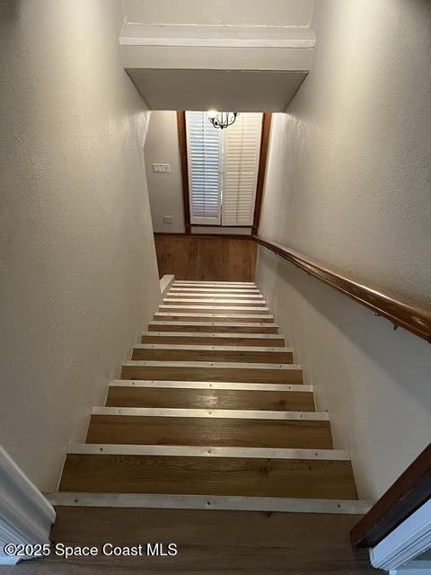 1467 Guava Avenue #1467 - Photo 3 of 45