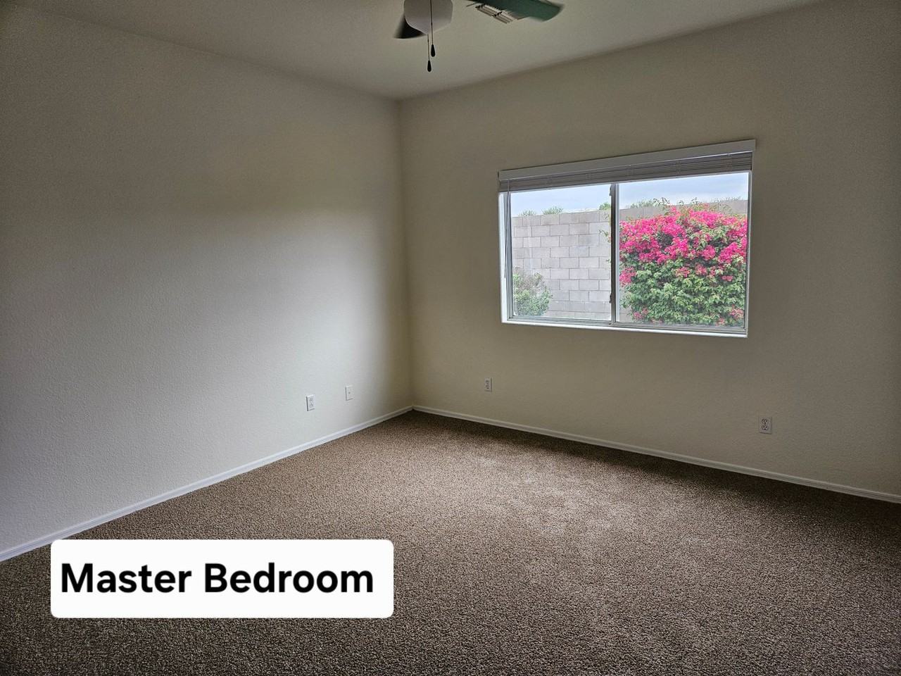 3659 S Joshua Tree Ln - Photo 6 of 17