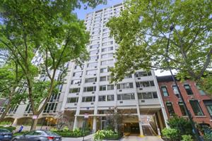 featured image of 1344 North Dearborn Parkway #18K
