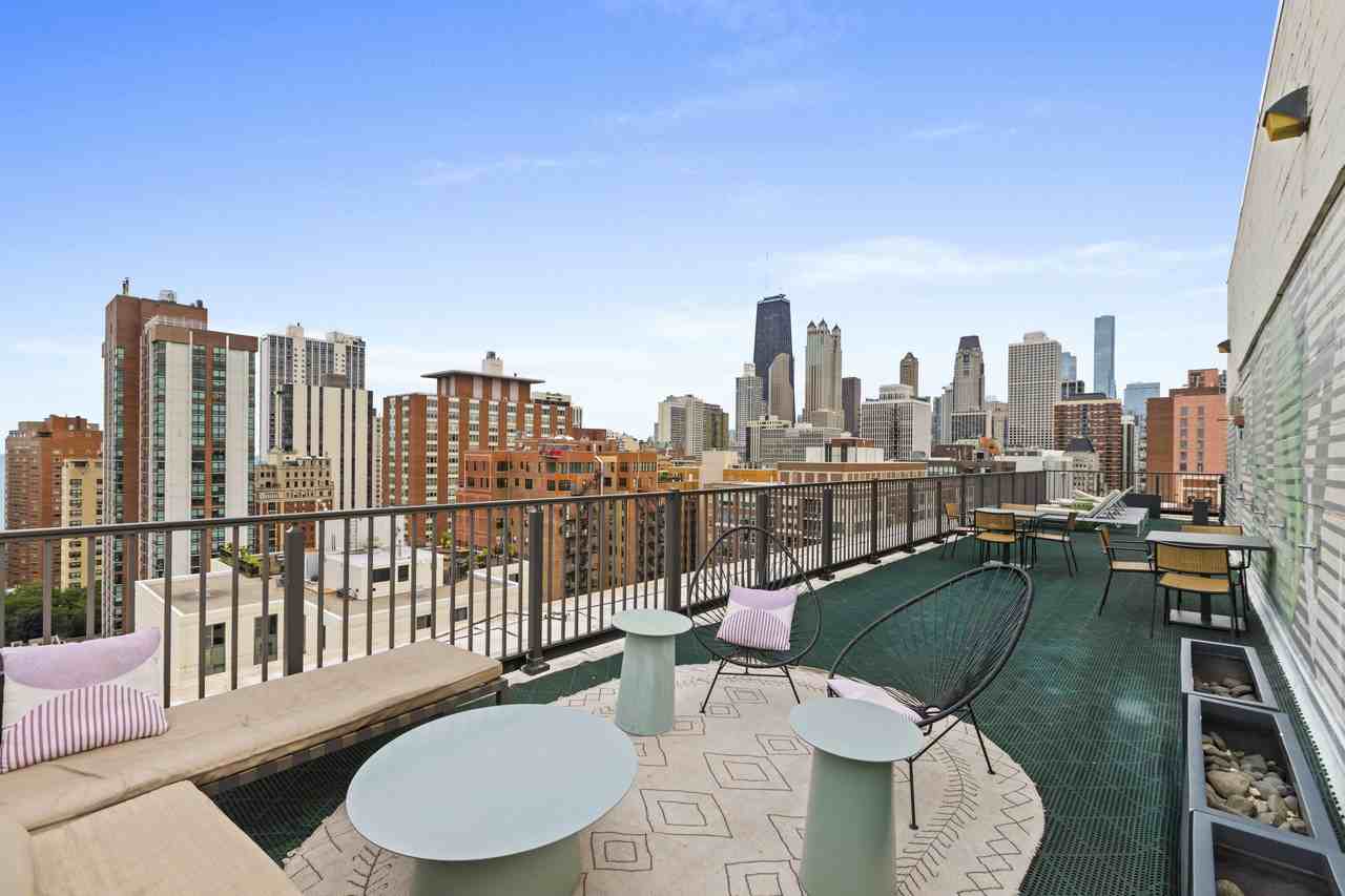 1344 North Dearborn Parkway #18K - Photo 3 of 13