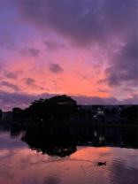 1522 White Hall Drive #204 - Photo 1 of 1