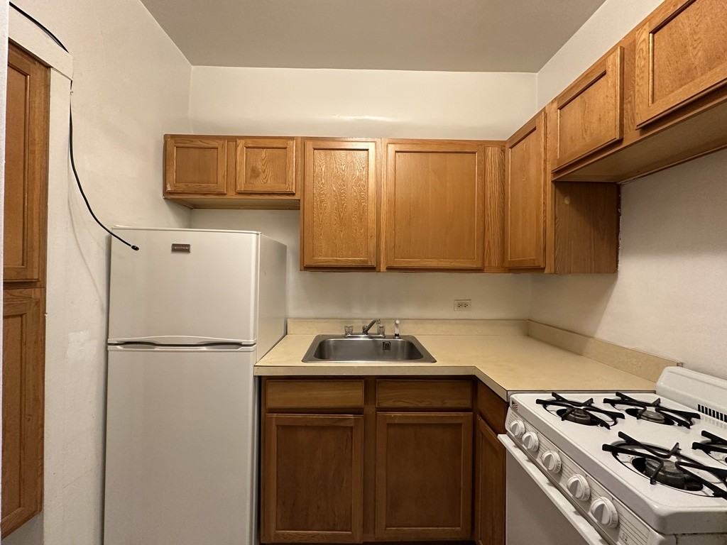 1164 North Dearborn Street #311 - Photo 3 of 21