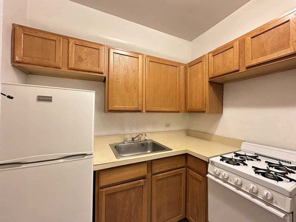 1164 North Dearborn Street #311 - Photo 4 of 21