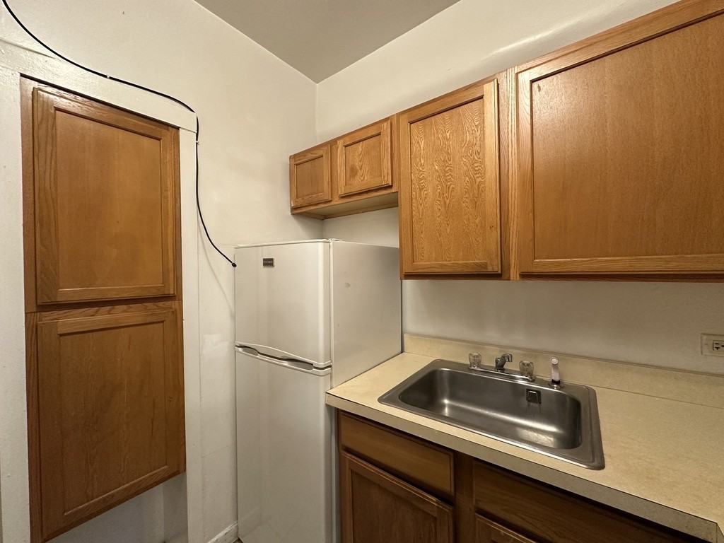 1164 North Dearborn Street #311 - Photo 6 of 21