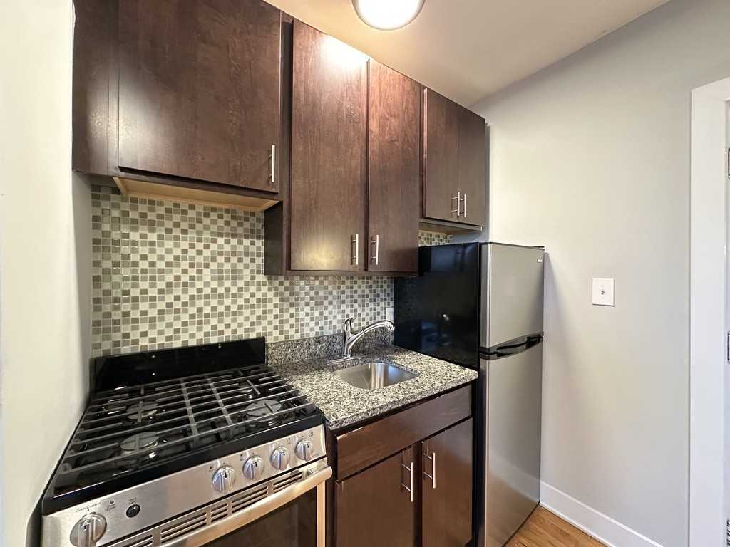 4546 N Damen Ave #207 - Photo 3 of 21