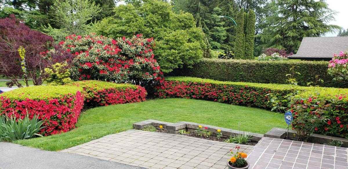 2135 Kirkstone Road - Photo 4 of 17